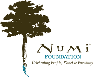 graphic of a paintbrush topped with a tree, words Numi Foundation