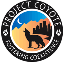 graphic of a coyote silhouetted near a city and wildland, crescent moon in sky; words: Project Coyote, Fostering Coexistence